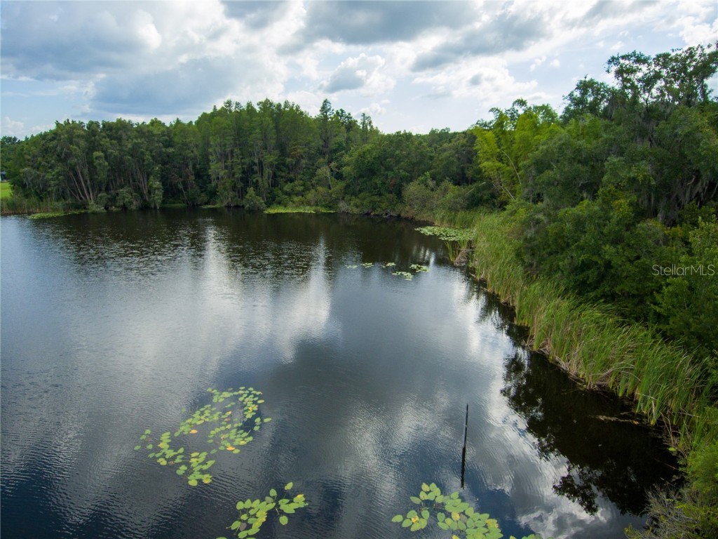 Carson Drive Land O Lakes FL 34639 - LAKE JO ANN U8181541 image13