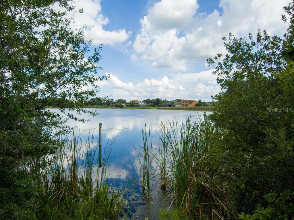 Carson Drive Land O Lakes FL 34639 - LAKE JO ANN U8181541 image14