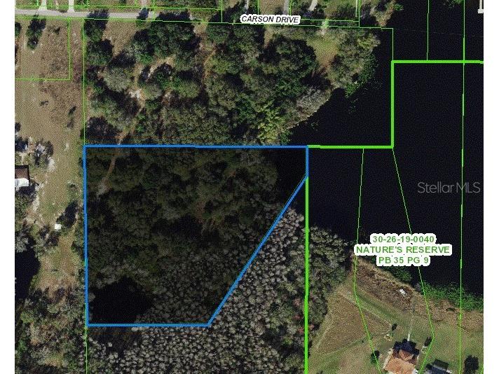 Carson Drive Land O Lakes FL 34639 - LAKE JO ANN U8181541 image15