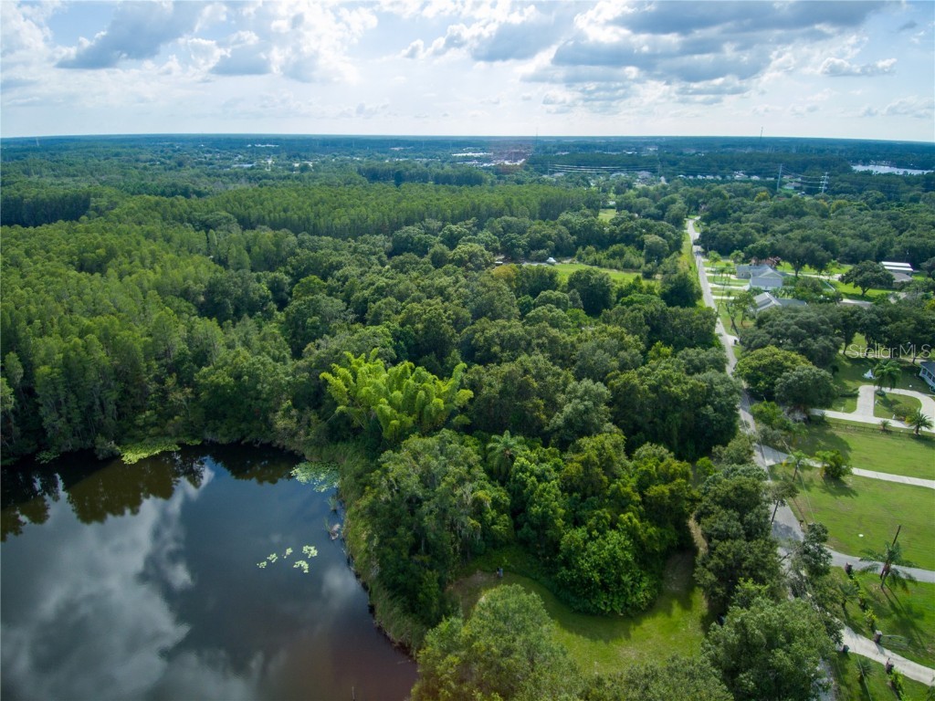 Carson Drive Land O Lakes FL 34639 - LAKE JO ANN U8181541 image7