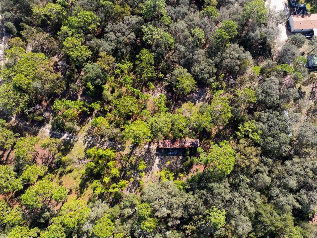 Cart Path Brooksville FL 34602 TB8431742 image1