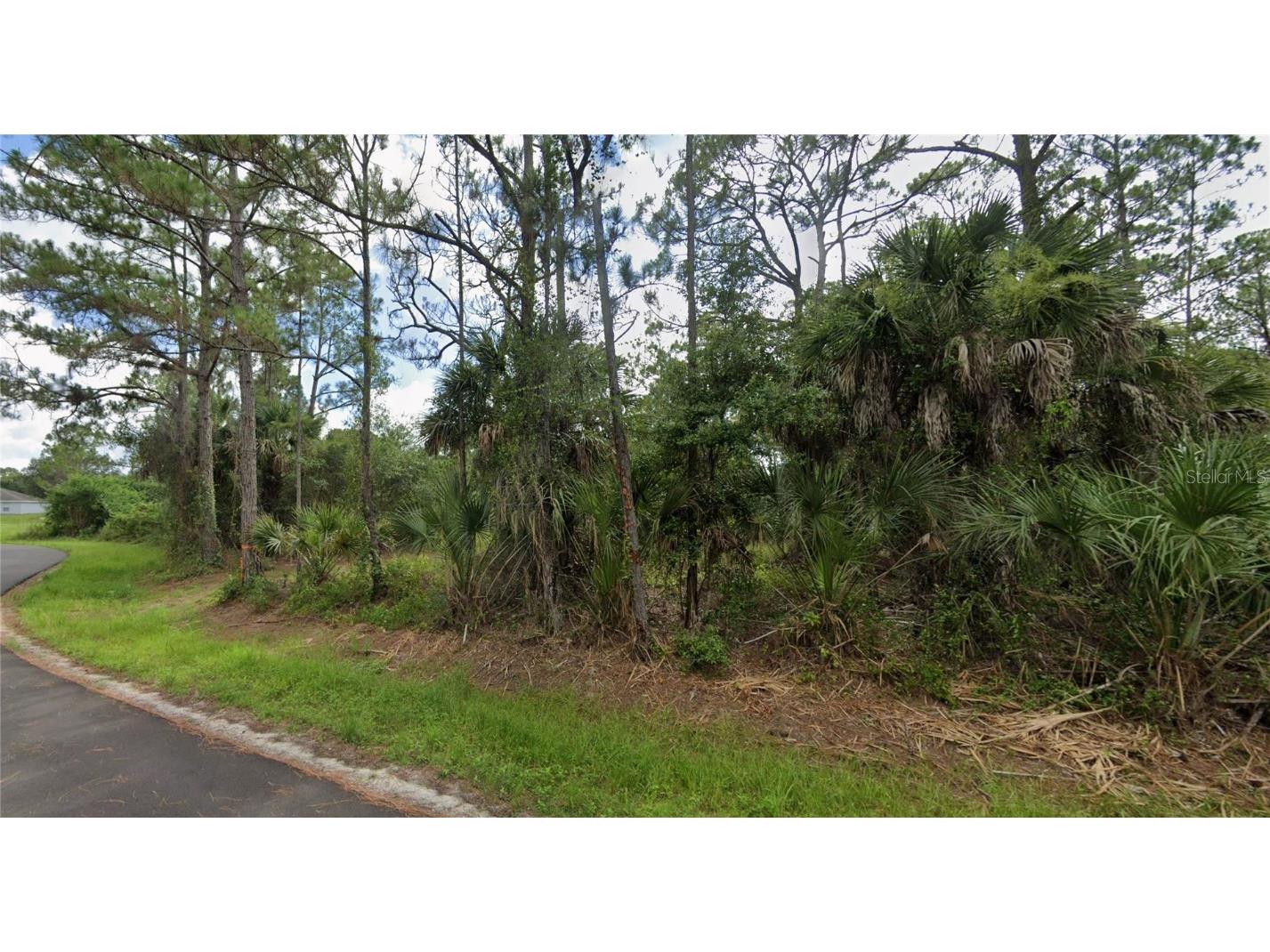 Carthage Street North Port FL 34286 D6144545 image4