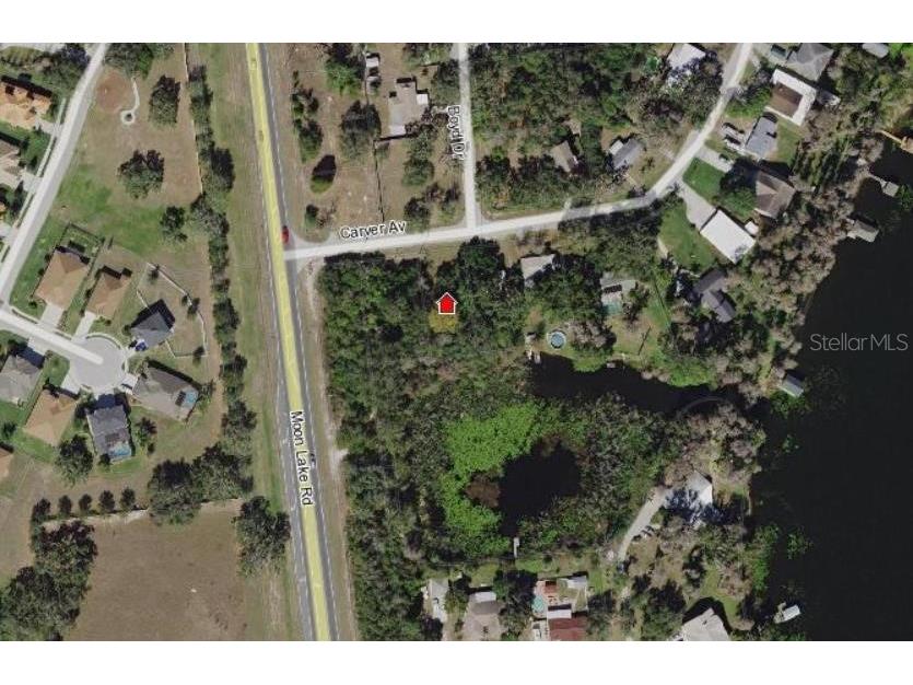Carver New Port Richey FL 34654 - Moon Lake TB8409821 image1