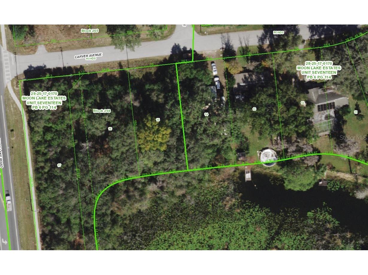 Carver New Port Richey FL 34654 - Moon Lake TB8409821 image2