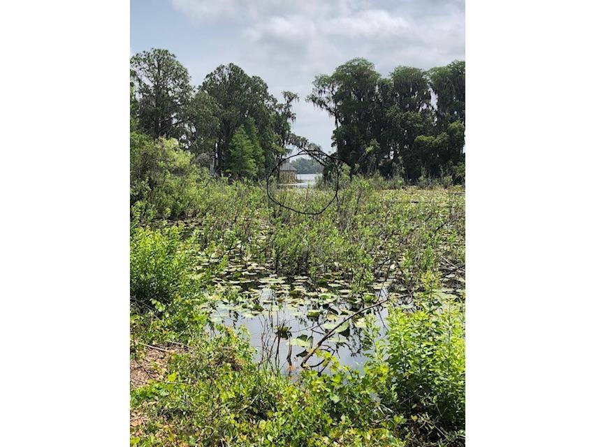 Carver New Port Richey FL 34654 - Moon Lake TB8409821 image3