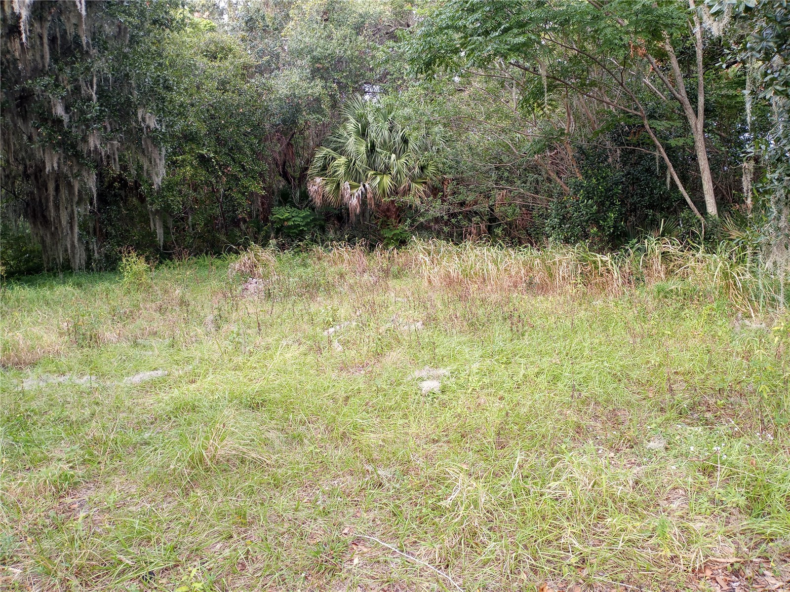 Carver Street Mims FL 32754 O6380783 image2