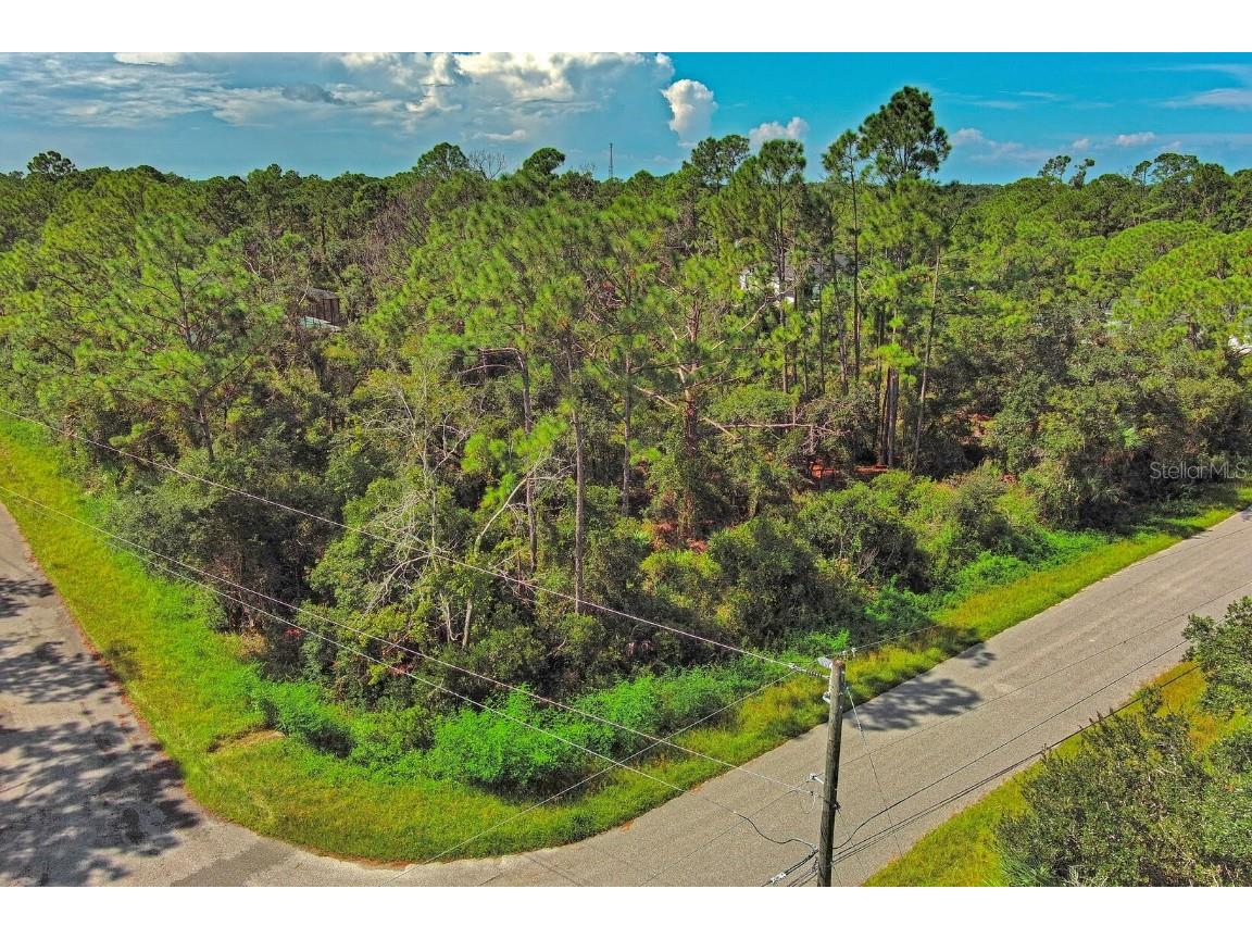 Casanova Avenue North Port FL 34291 O6343672 image2