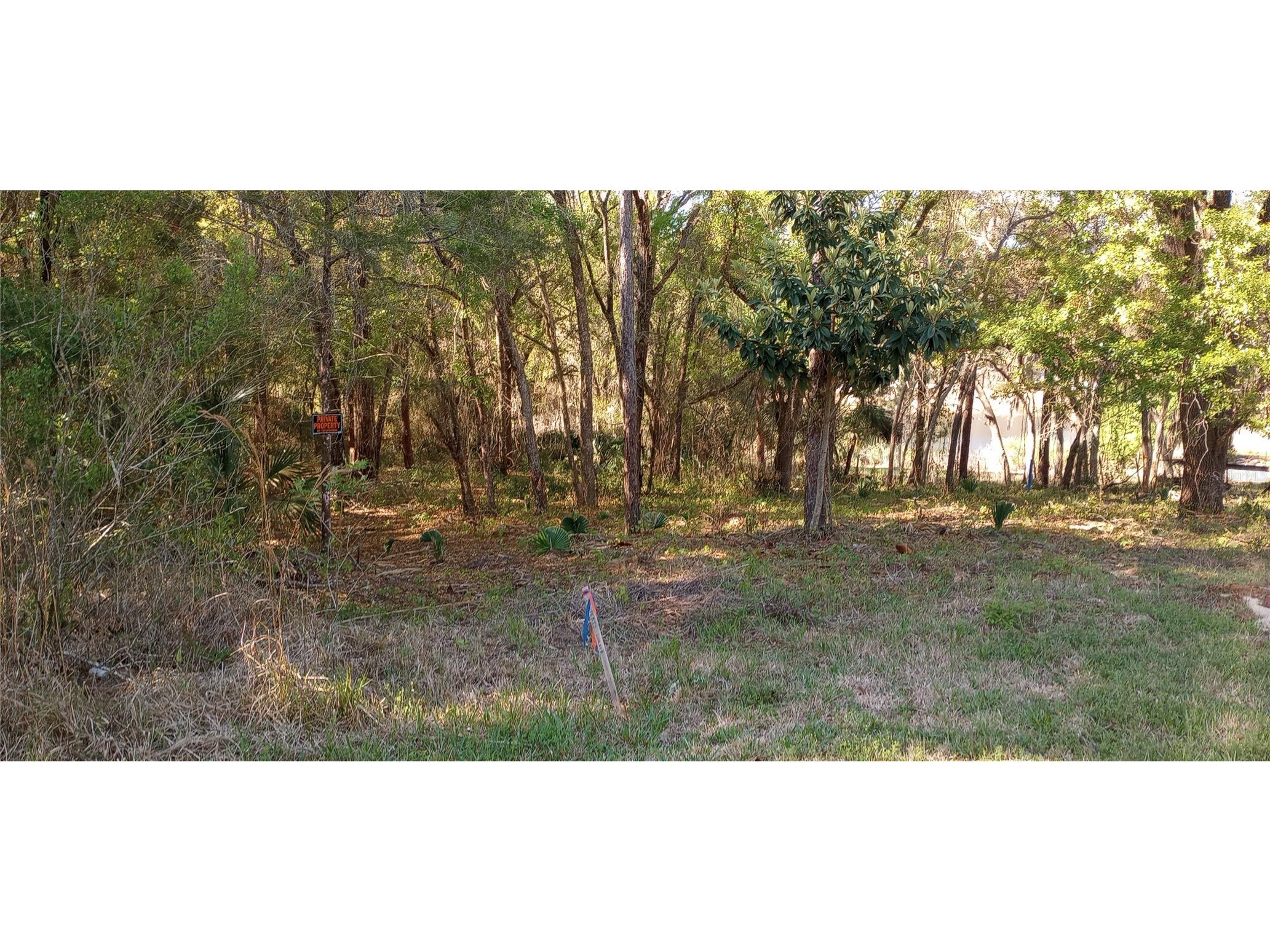 Casaurina Road Lady Lake FL 32159 G5109331 image2