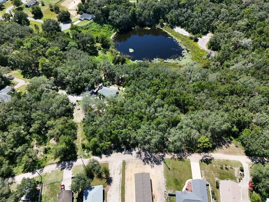 Casaurina Road Lady Lake FL 32159 OM709240 image1