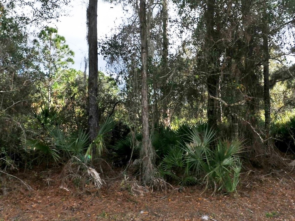 Cascabel Lot #6 Terrace North Port FL 34286 C7504412 image1