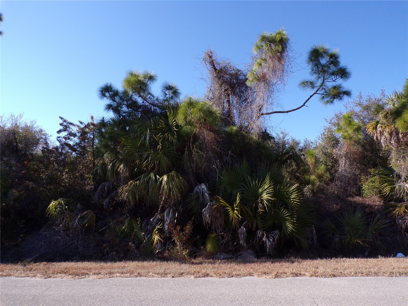 Casco Circle North Port FL 34288 C7521976 image1