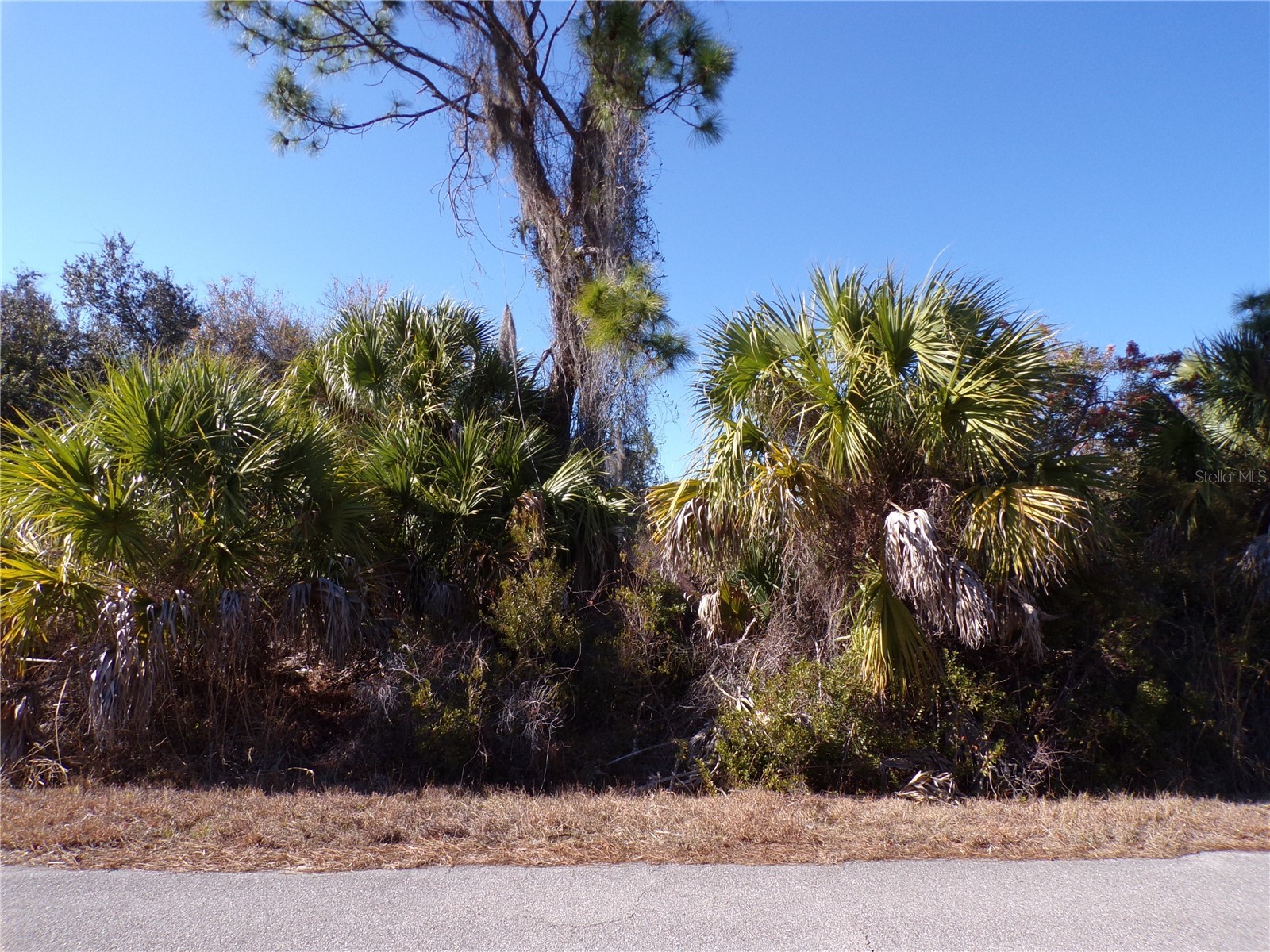 Casco Circle North Port FL 34288 C7521976 image2