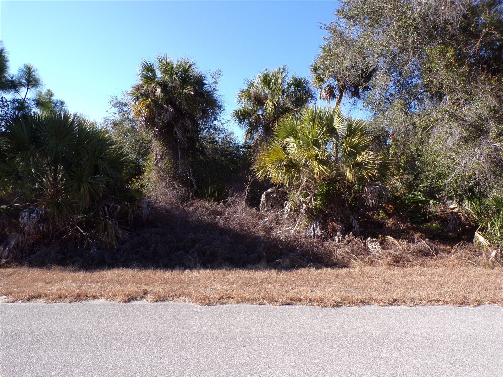 Casco Circle North Port FL 34288 C7521976 image5