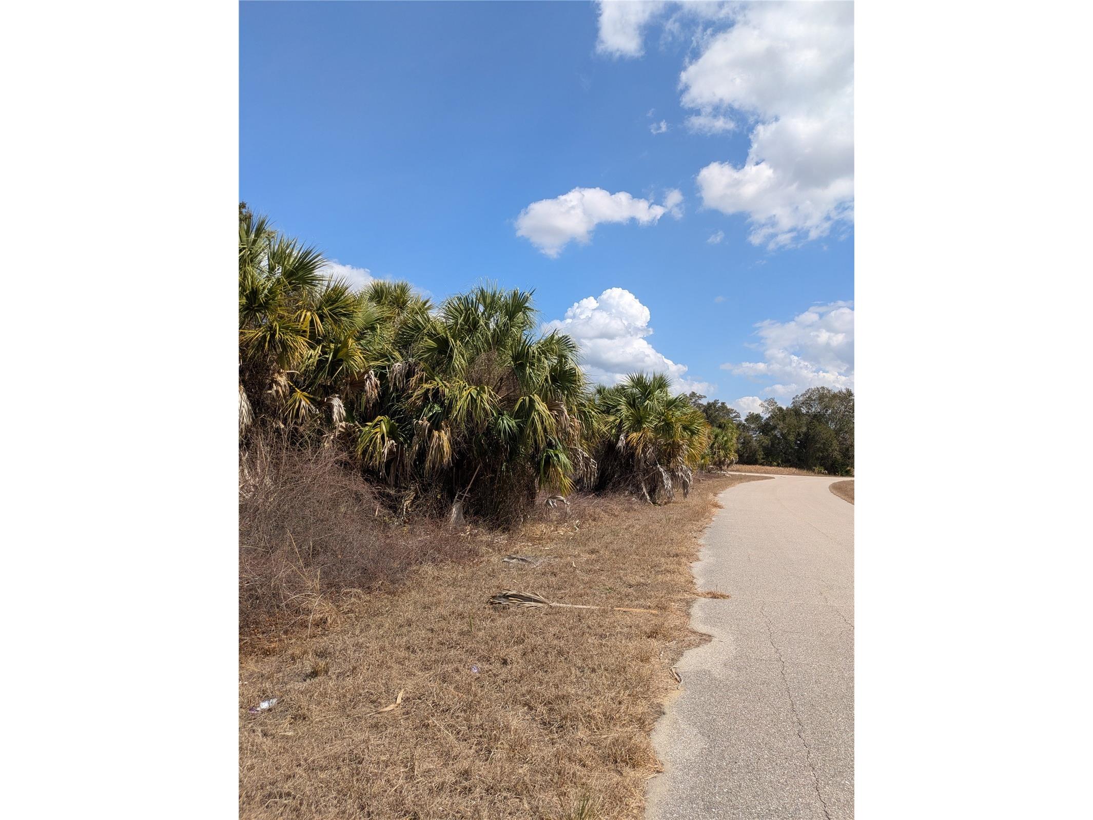 Casco Circle North Port FL 34288 C7522336 image4