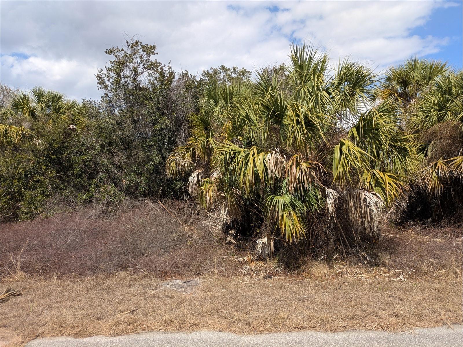 Casco Circle North Port FL 34288 C7522336 image7