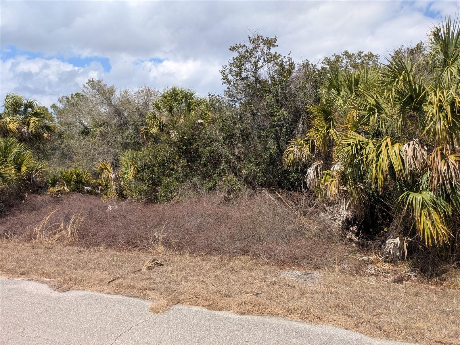 Casco Circle North Port FL 34288 C7522336 image8