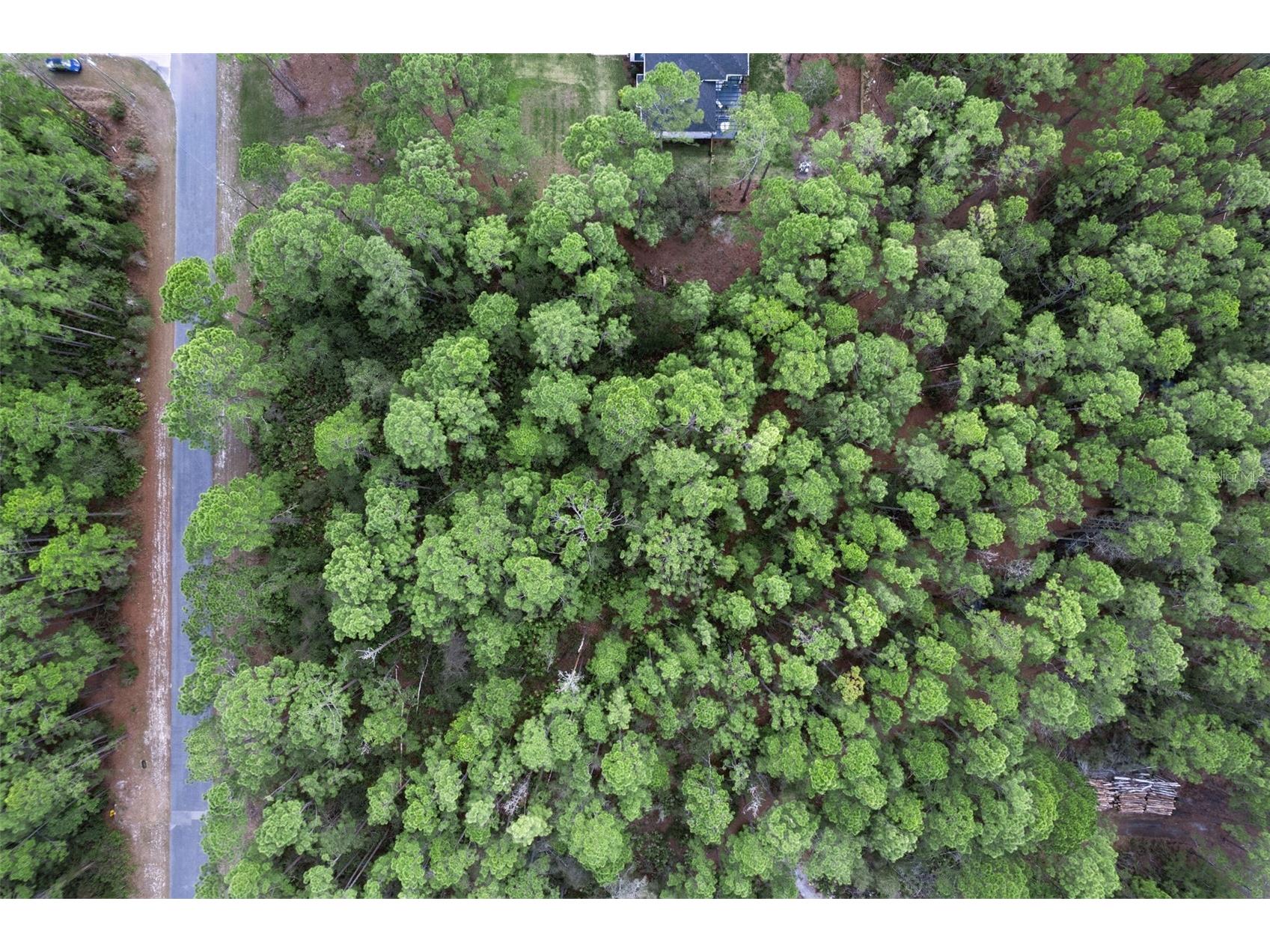 Cashew Street Eustis FL 32736 G5109171 image1