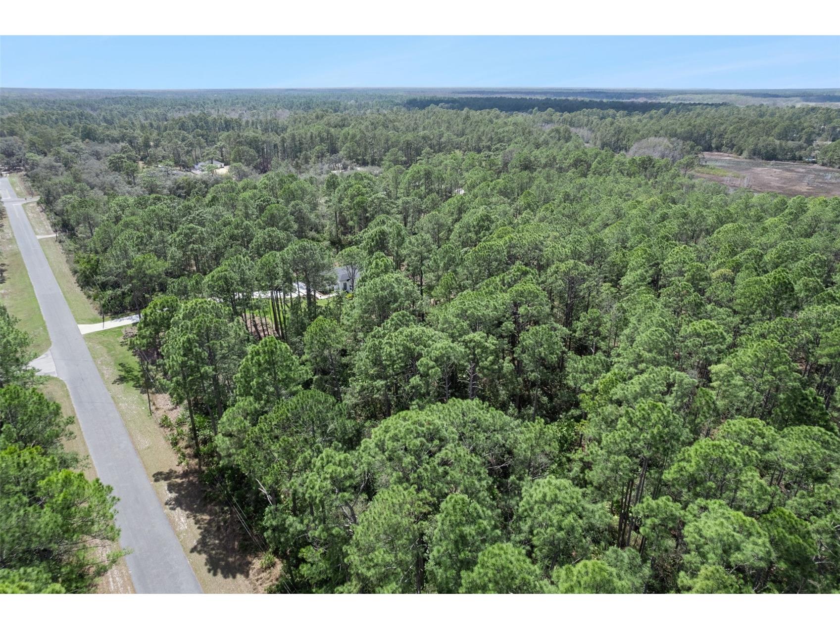 Cashew Street Eustis FL 32736 G5109171 image10
