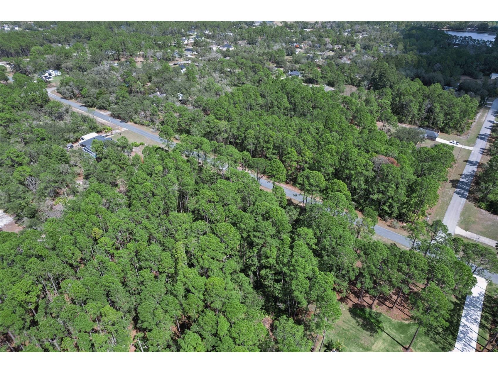 Cashew Street Eustis FL 32736 G5109171 image11