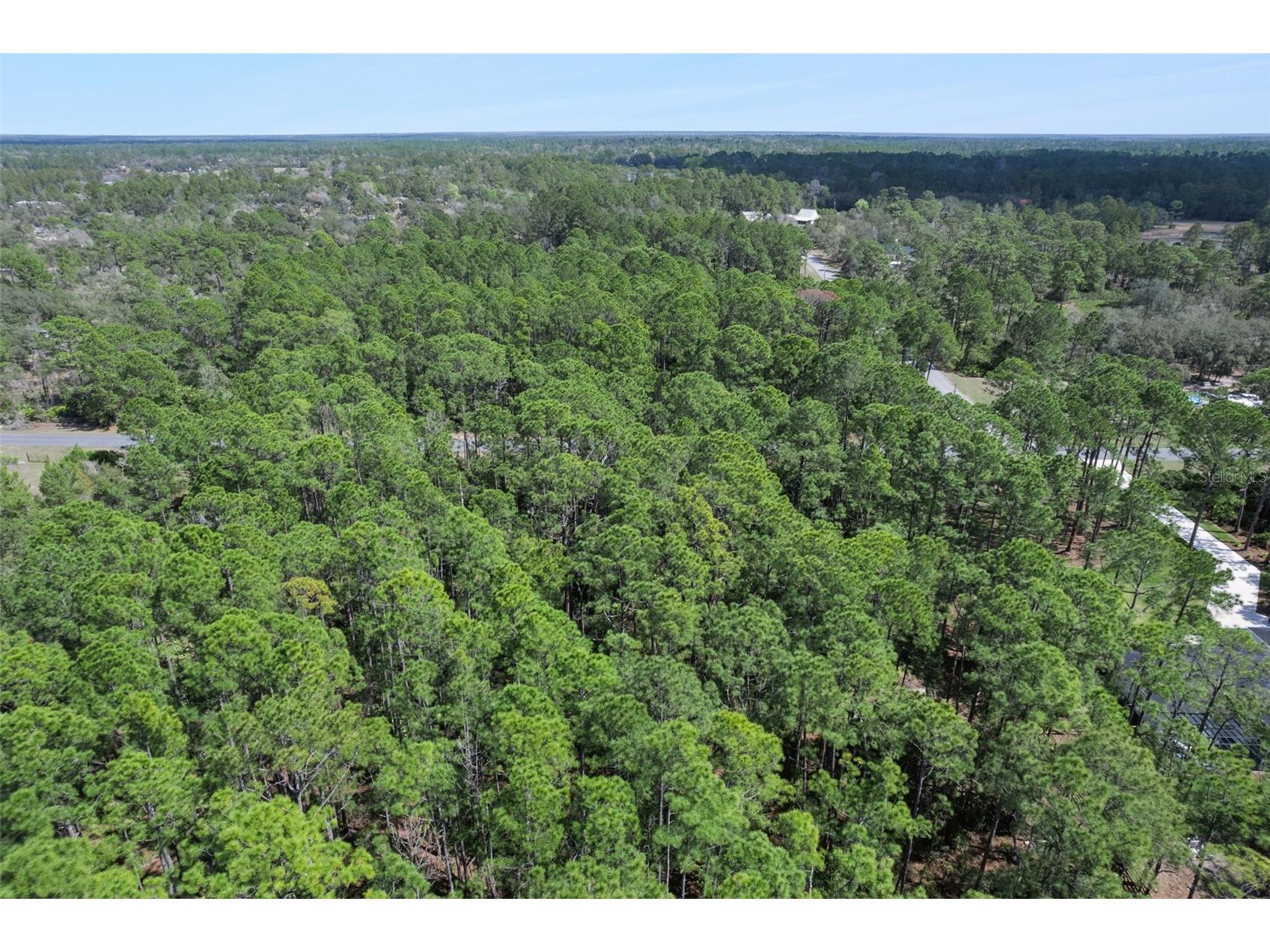 Cashew Street Eustis FL 32736 G5109171 image12