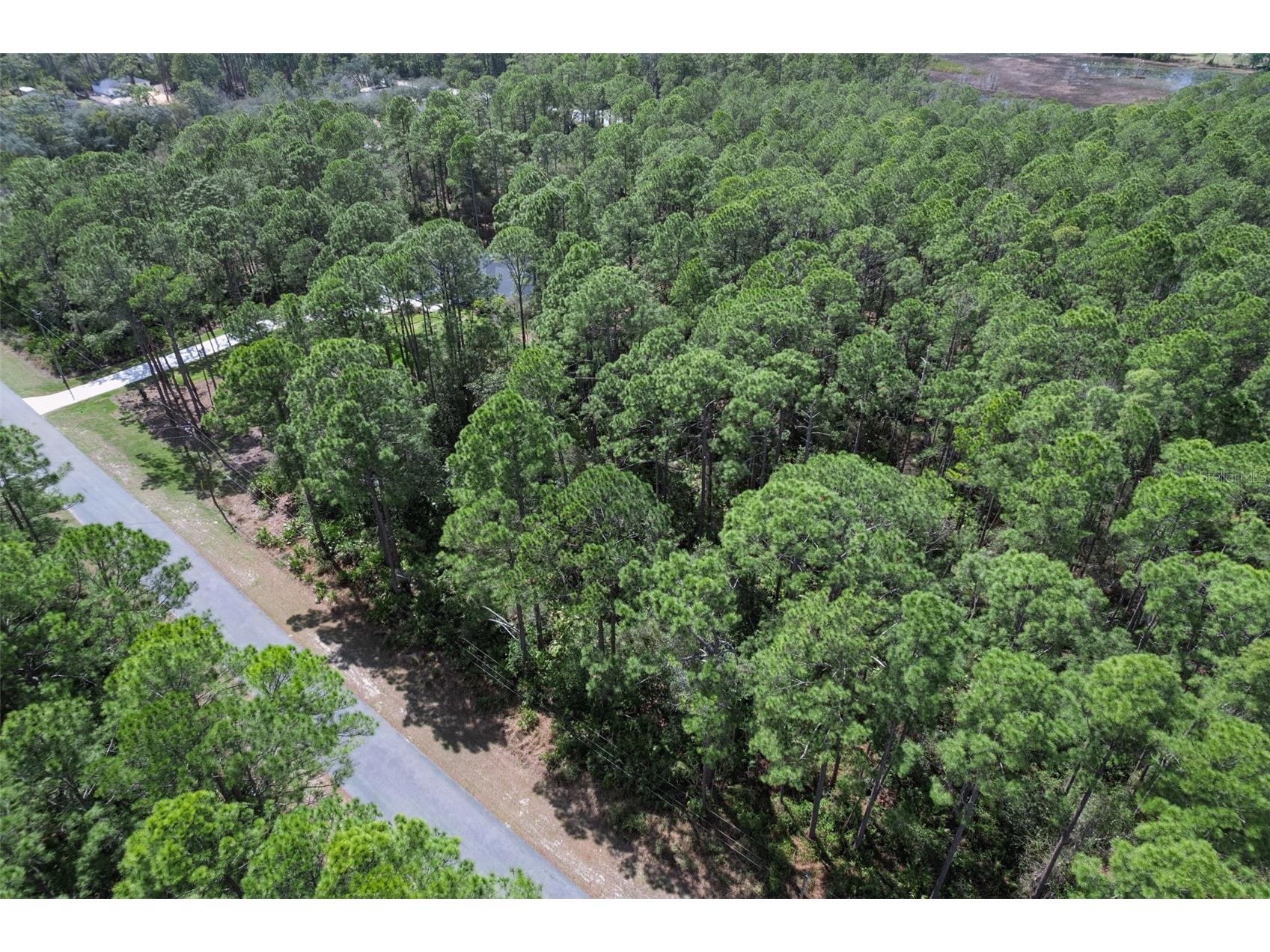 Cashew Street Eustis FL 32736 G5109171 image14
