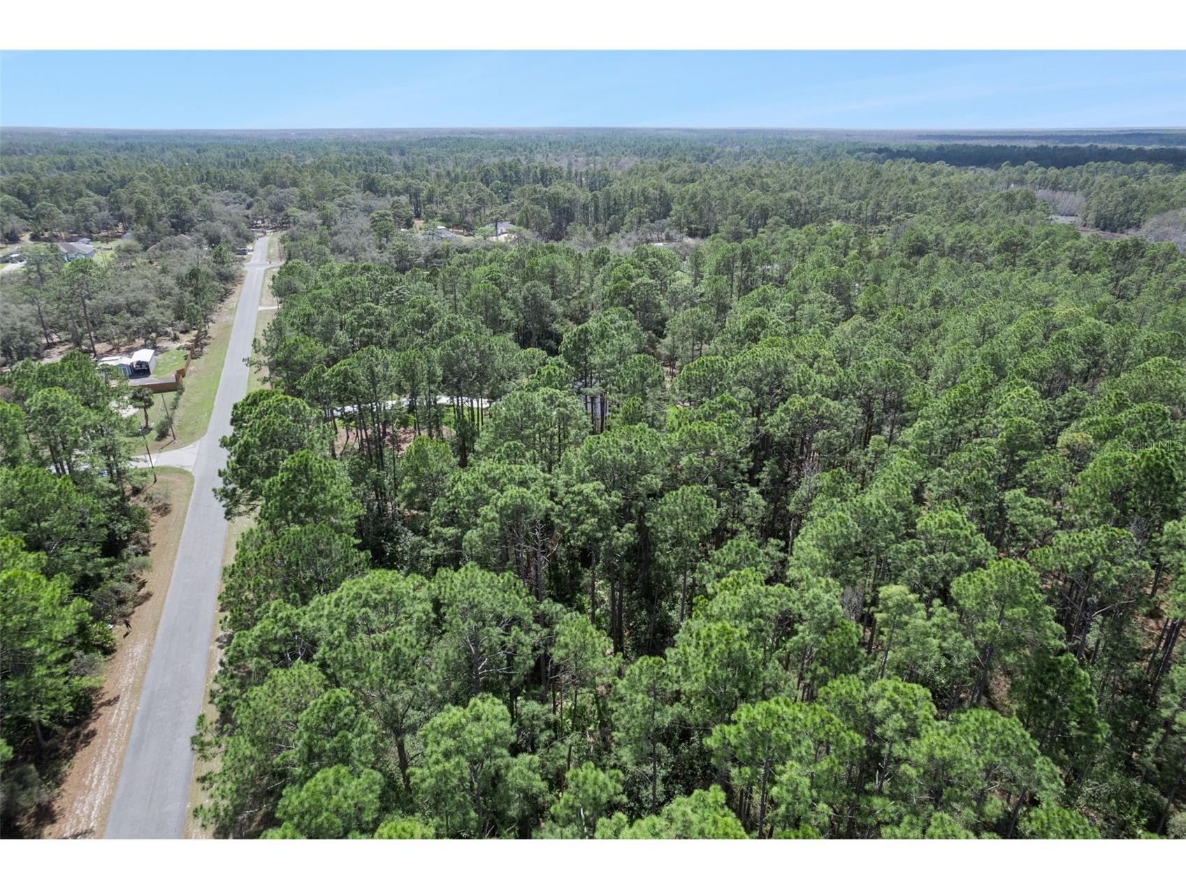 Cashew Street Eustis FL 32736 G5109171 image17