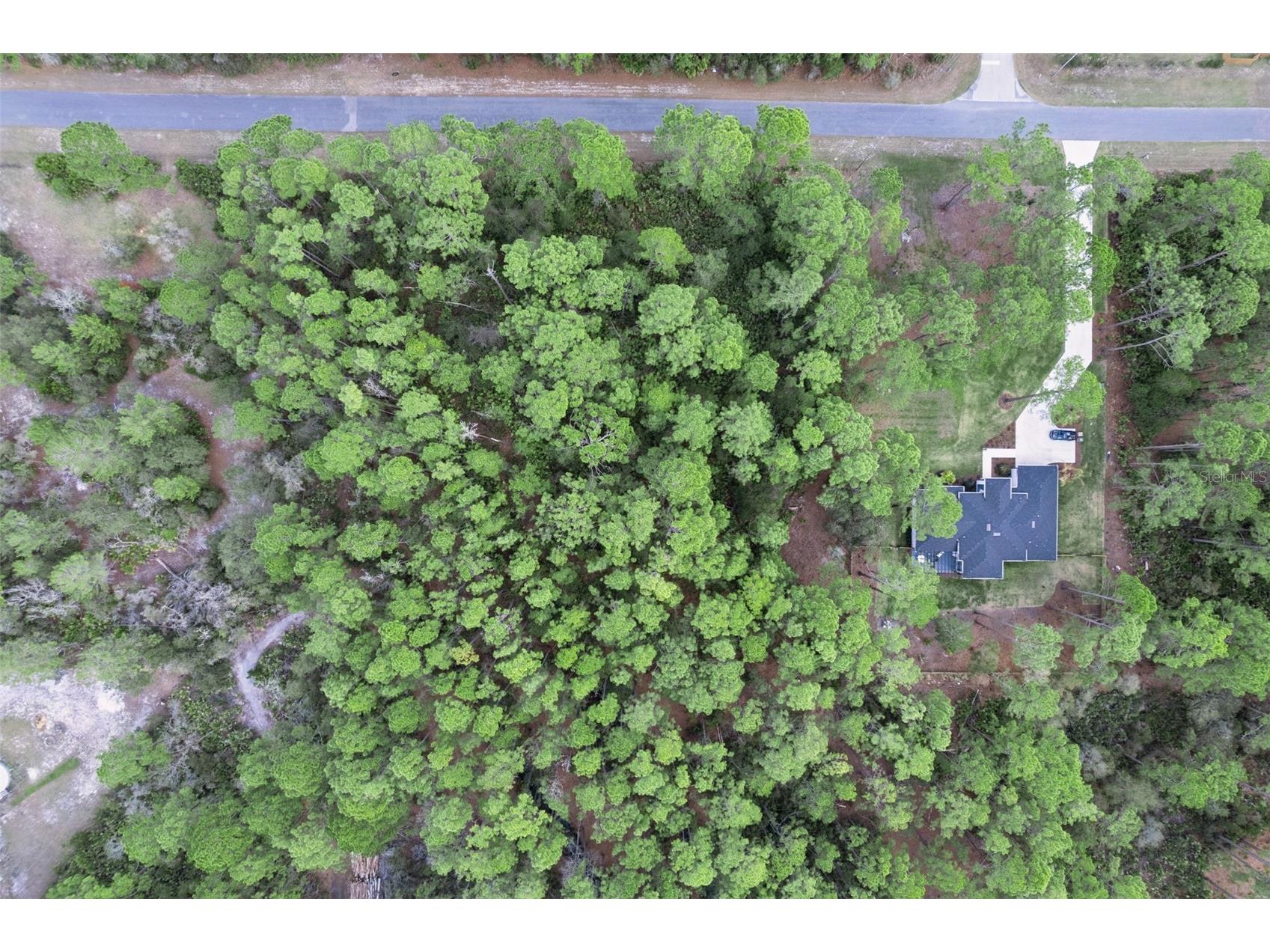 Cashew Street Eustis FL 32736 G5109171 image19