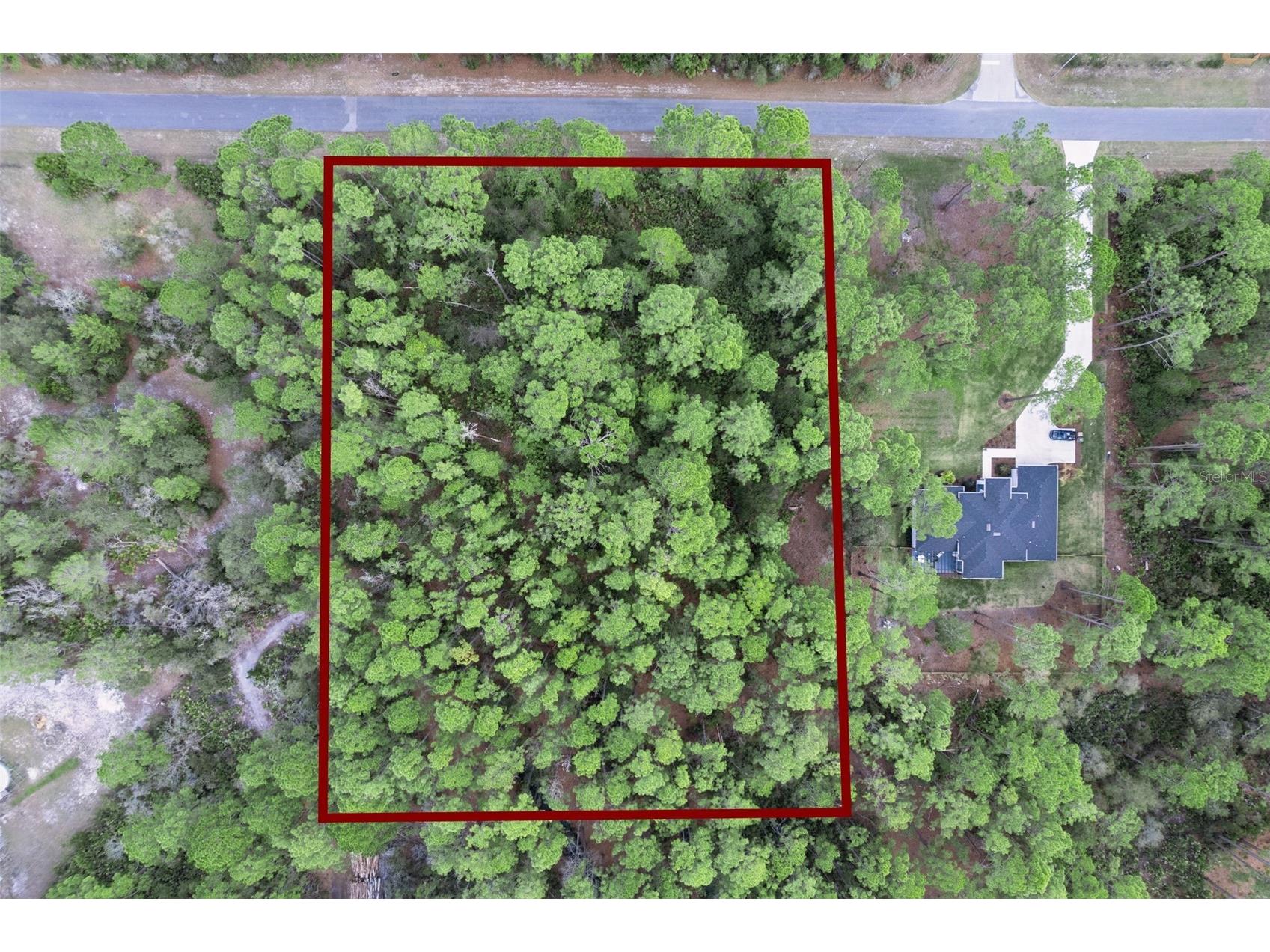 Cashew Street Eustis FL 32736 G5109171 image20