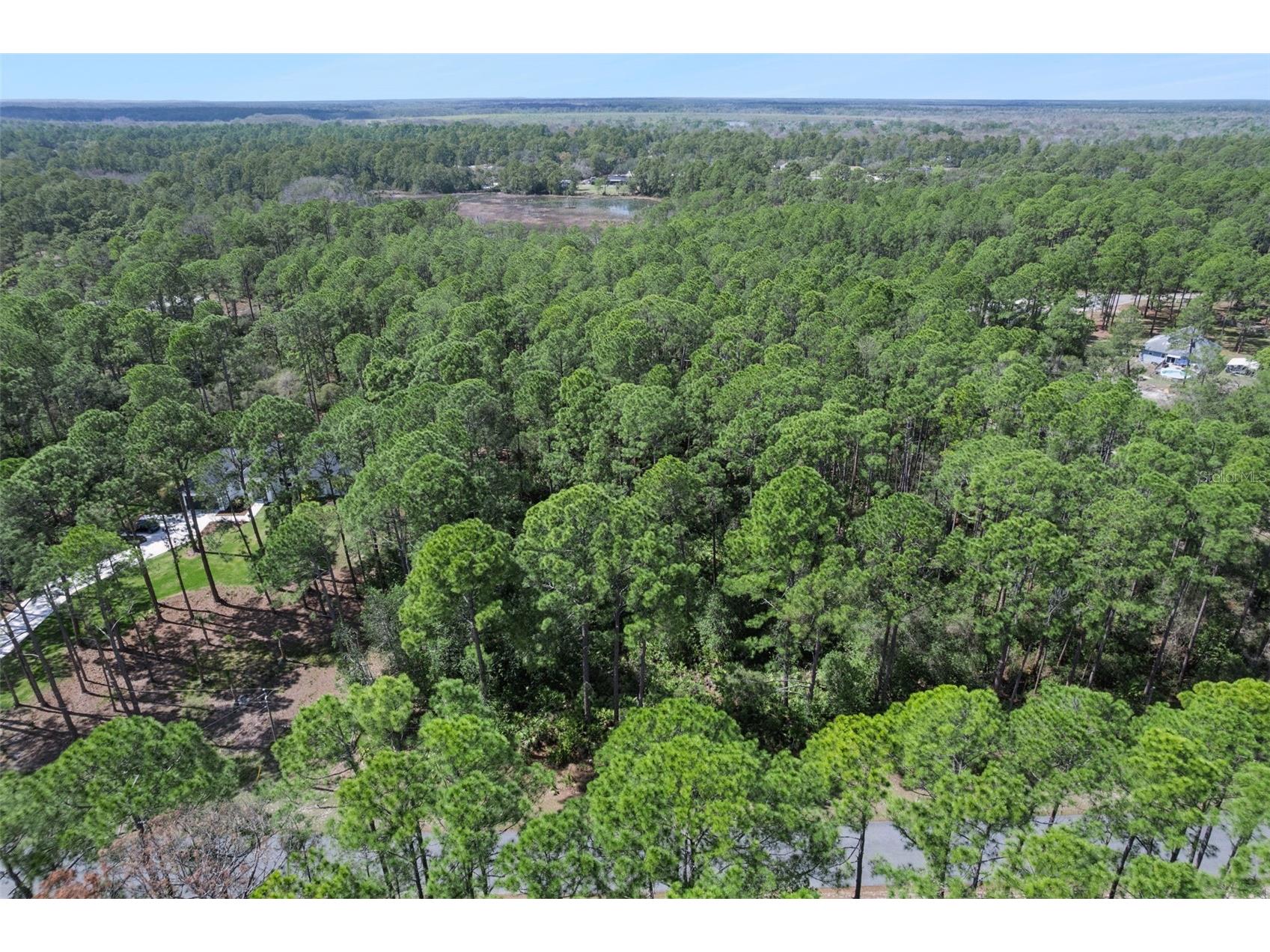 Cashew Street Eustis FL 32736 G5109171 image21