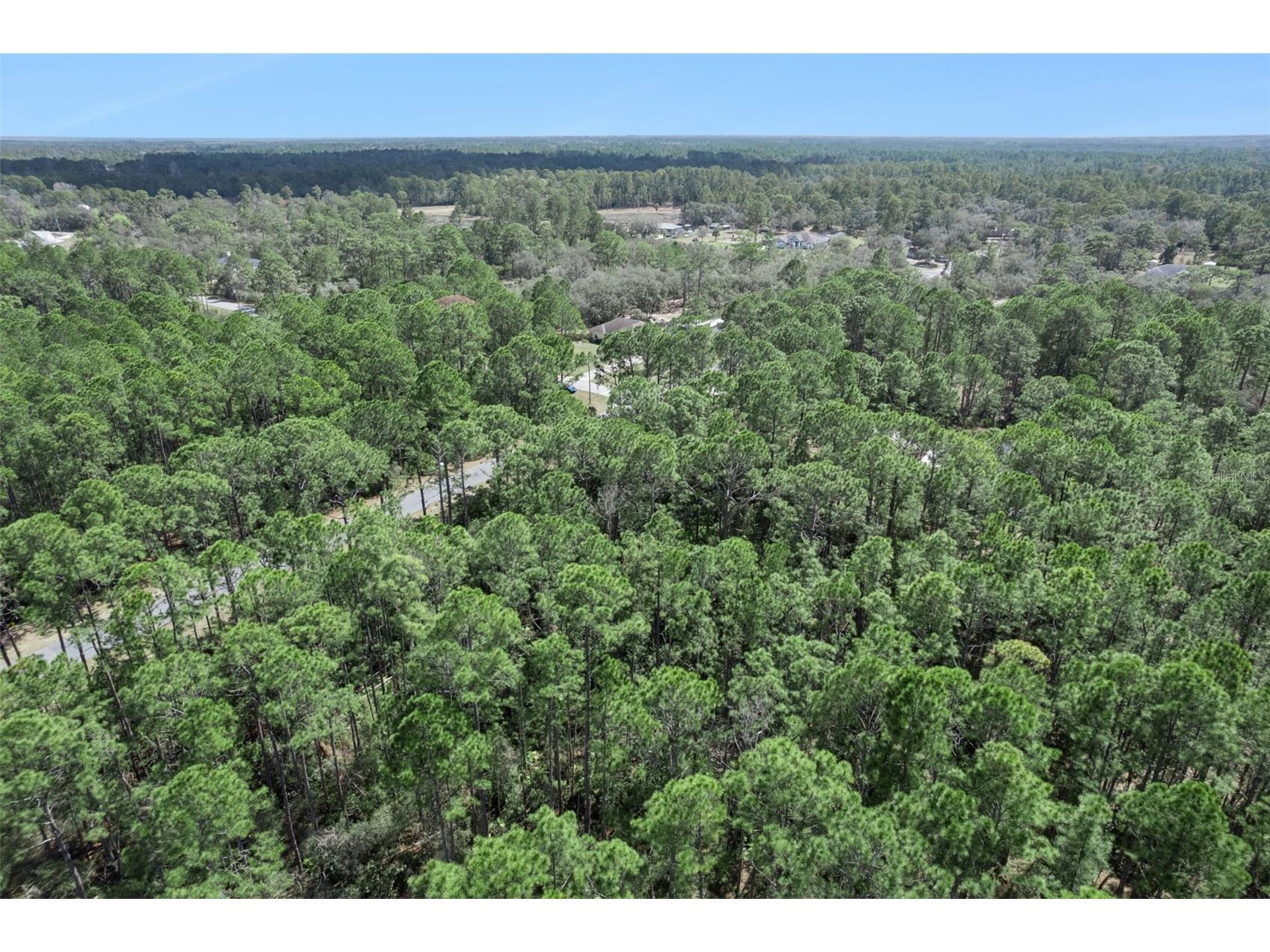 Cashew Street Eustis FL 32736 G5109171 image22