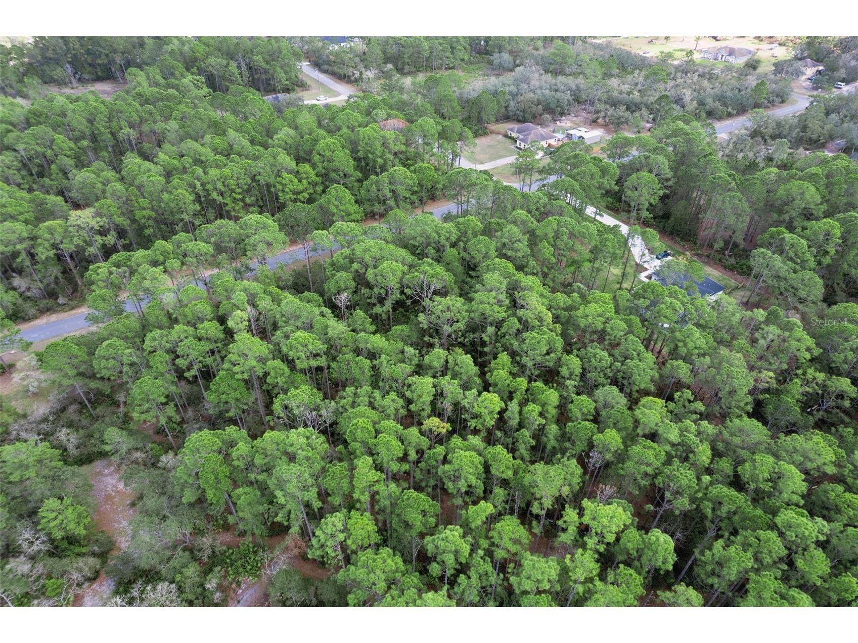 Cashew Street Eustis FL 32736 G5109171 image23