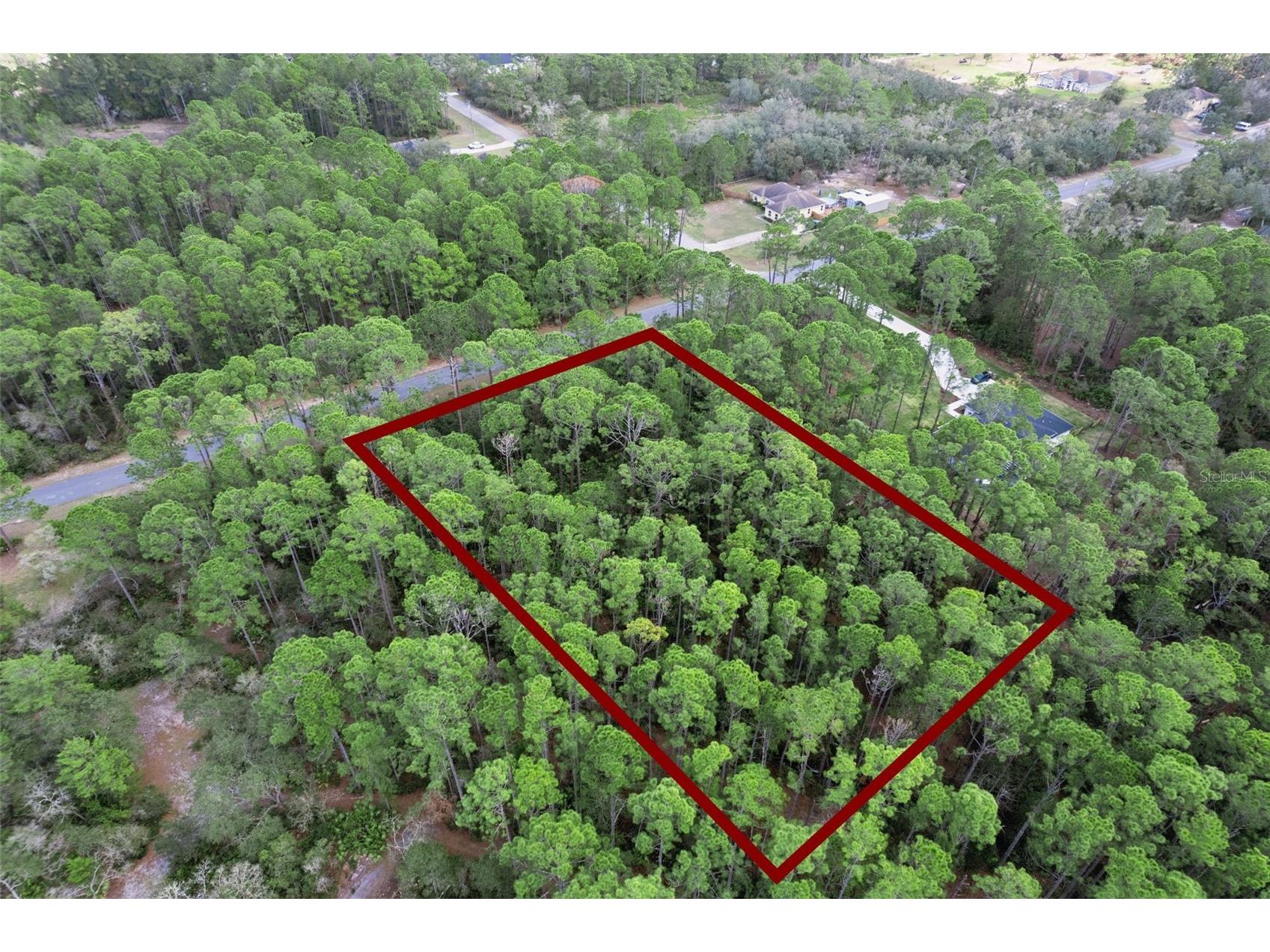 Cashew Street Eustis FL 32736 G5109171 image24