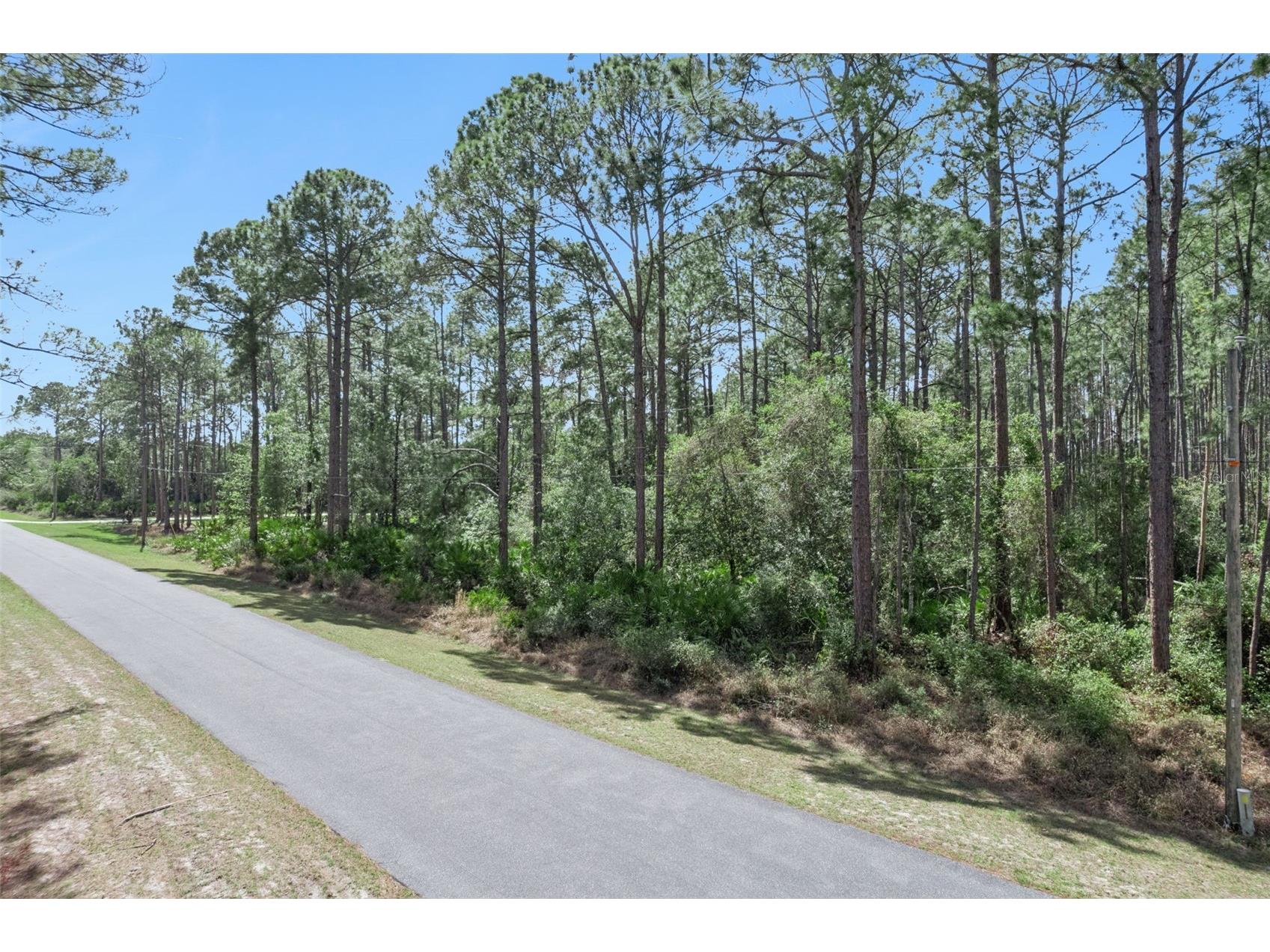 Cashew Street Eustis FL 32736 G5109171 image3