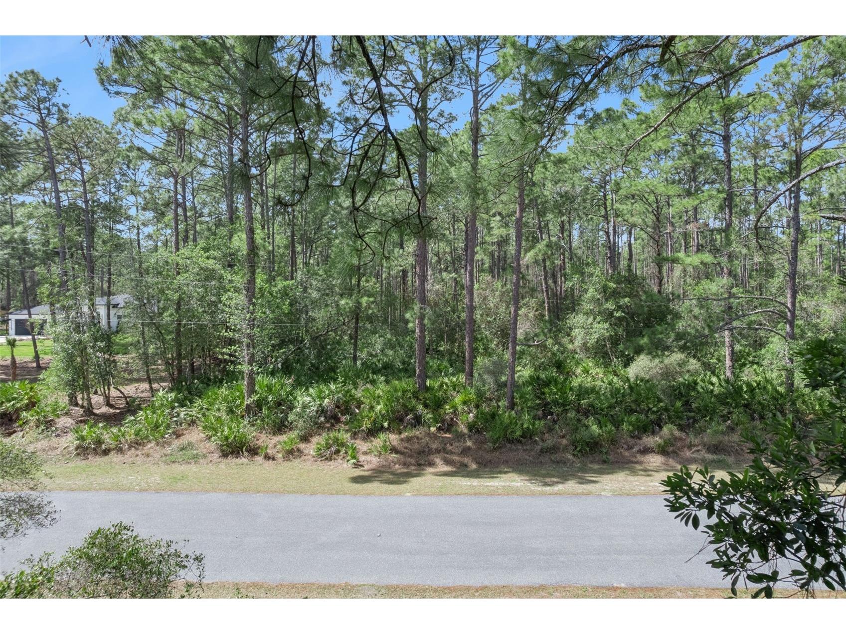 Cashew Street Eustis FL 32736 G5109171 image4