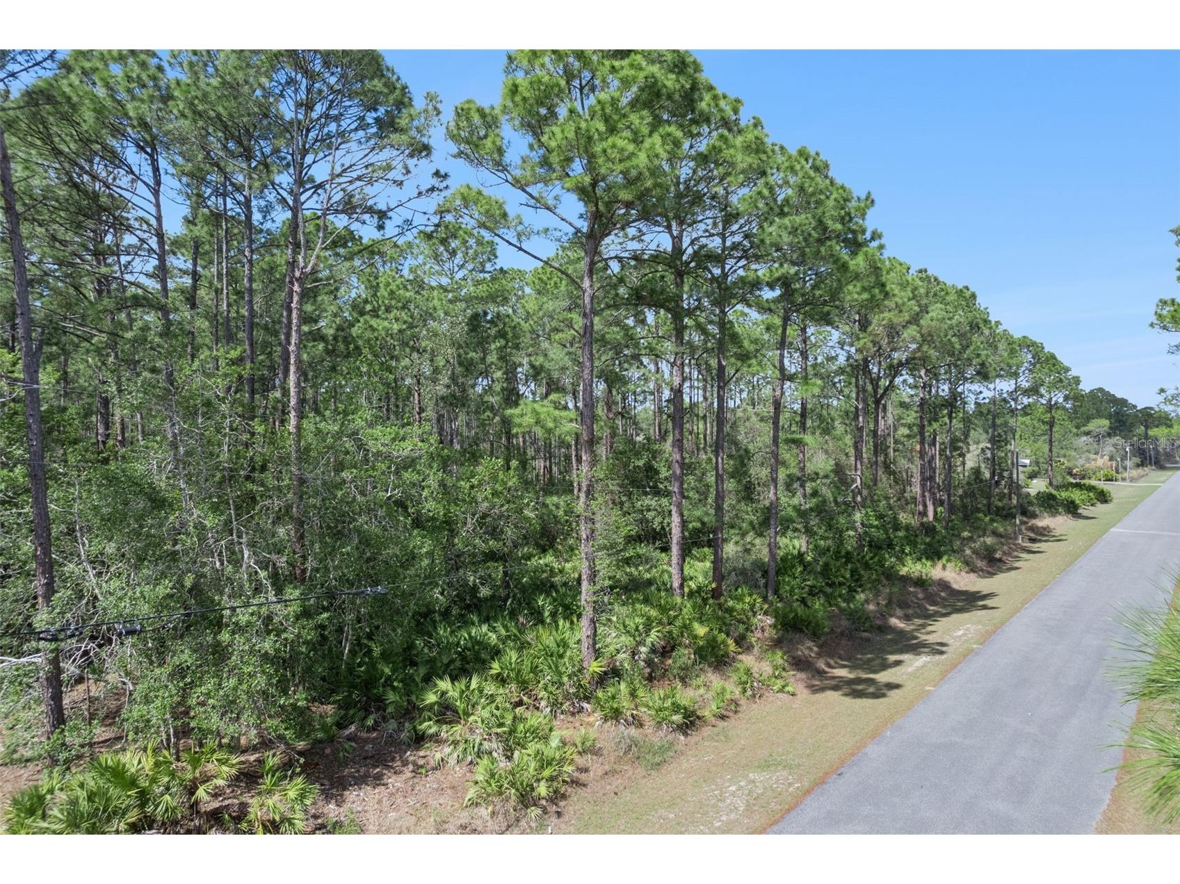 Cashew Street Eustis FL 32736 G5109171 image5