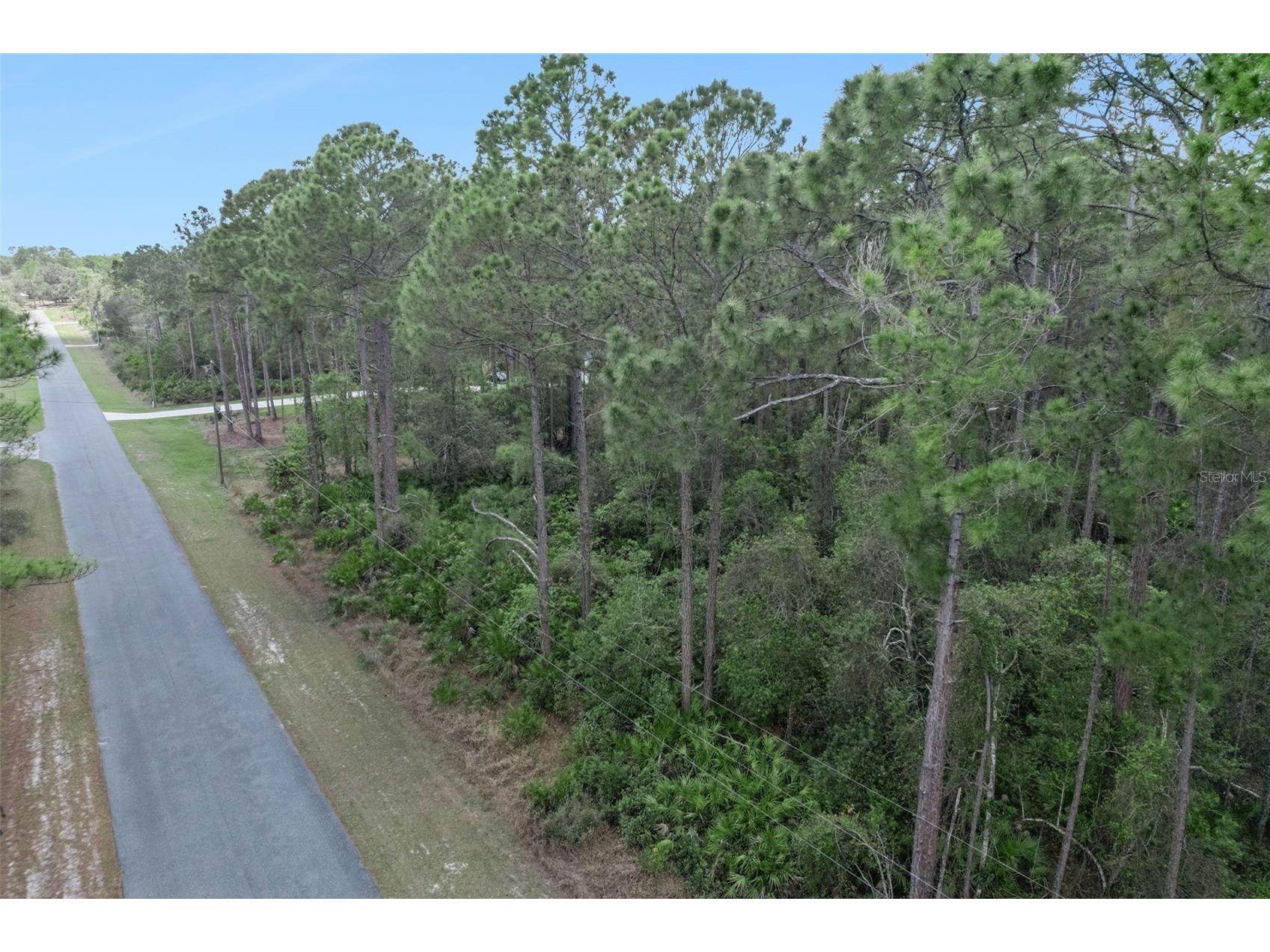 Cashew Street Eustis FL 32736 G5109171 image6