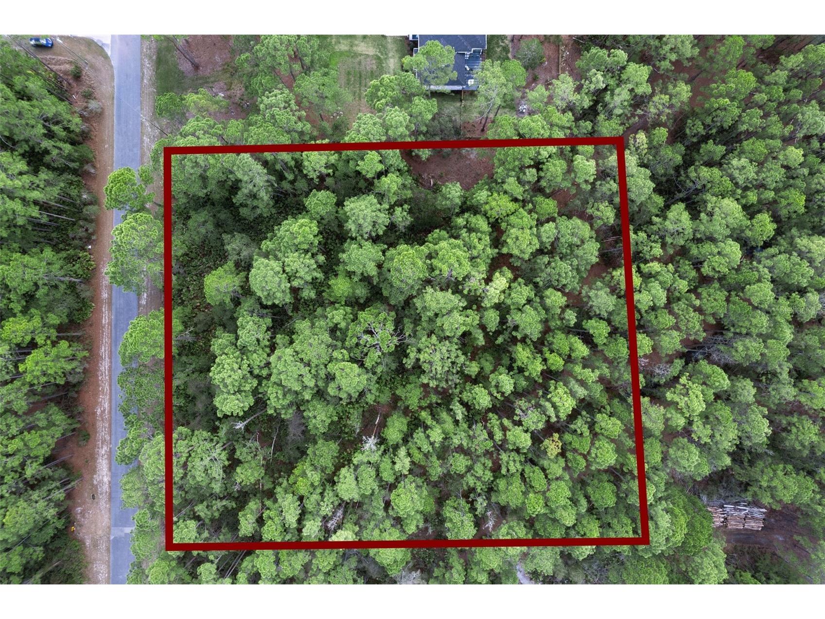 Cashew Street Eustis FL 32736 G5109171 image9