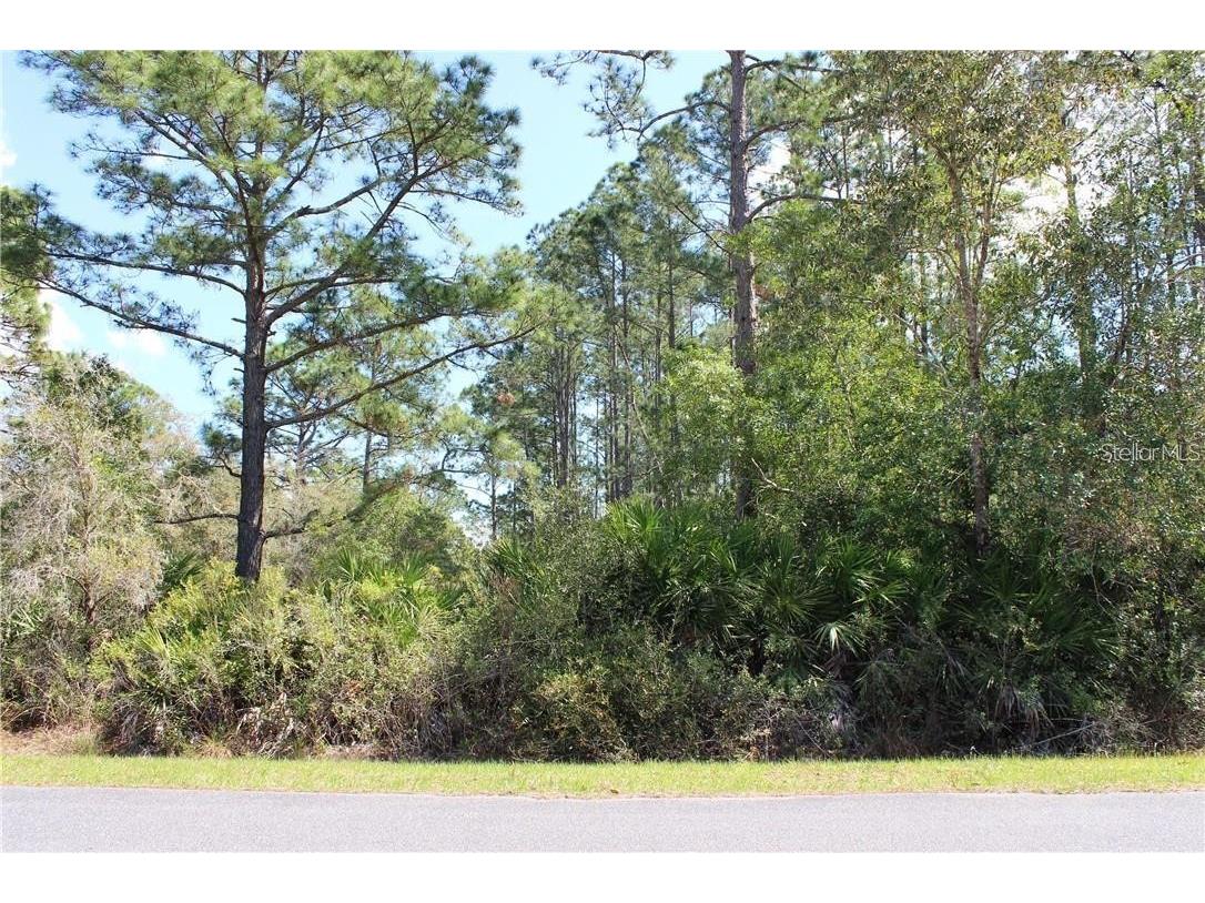 Cashew Street Eustis FL 32736 S5132432 image1