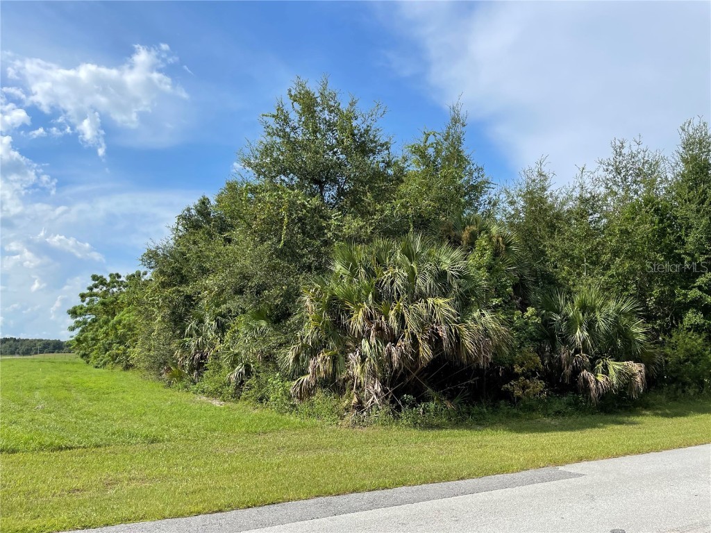 Cassady Street Umatilla FL 32784 O6140406 image1