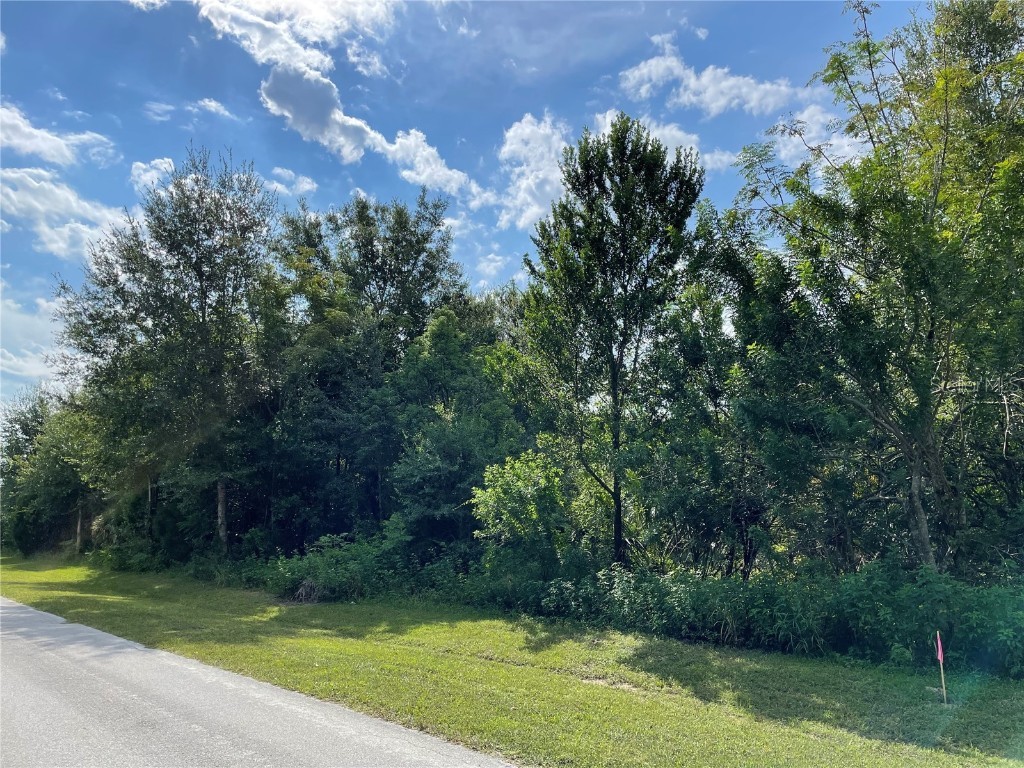 Cassady Street Umatilla FL 32784 O6140661 image1