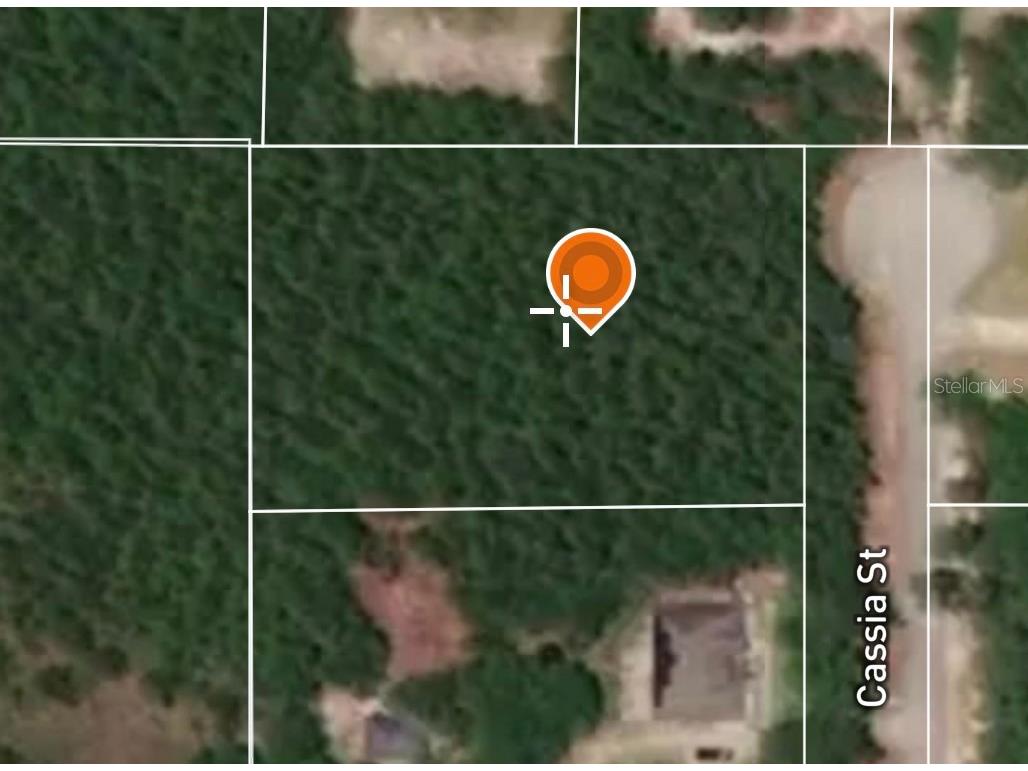 Cassia Street Eustis FL 32736 OM653997 image1