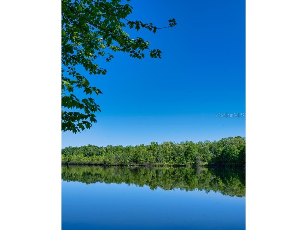 Castle Circle Alford FL 32420 A4649989 image10