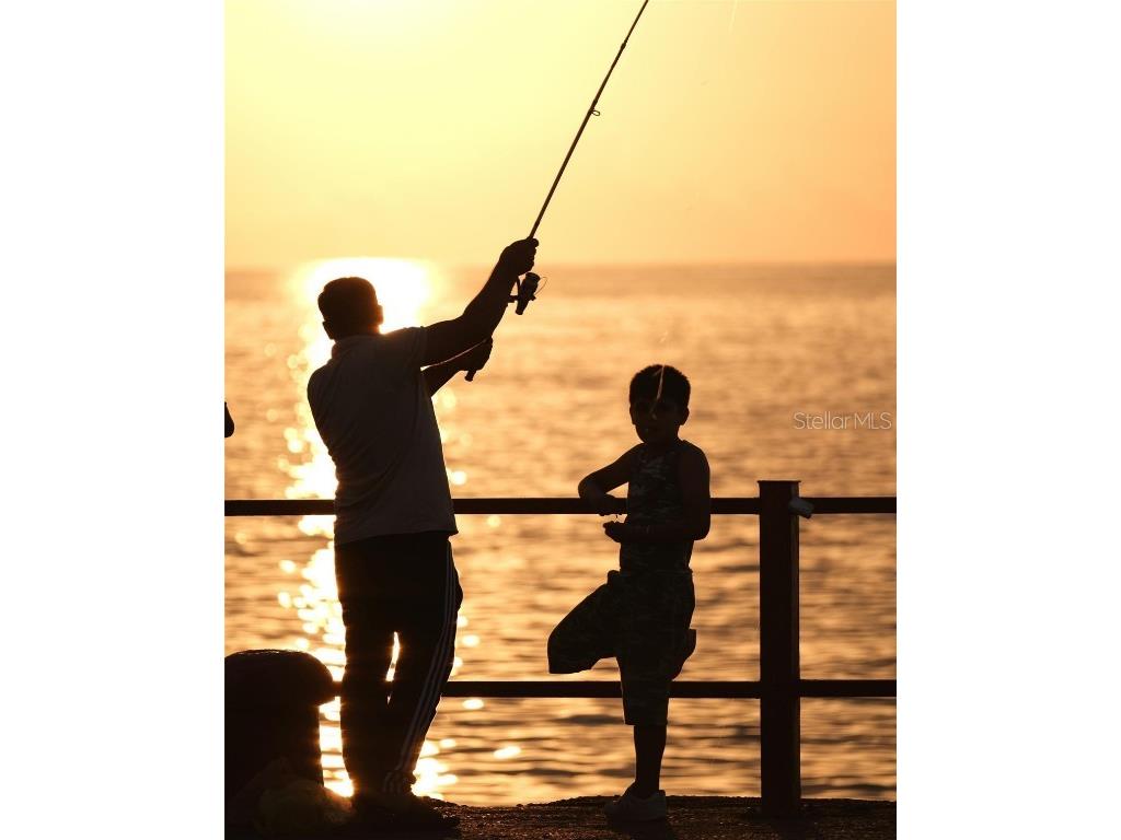 Castle Circle Alford FL 32420 A4649989 image2