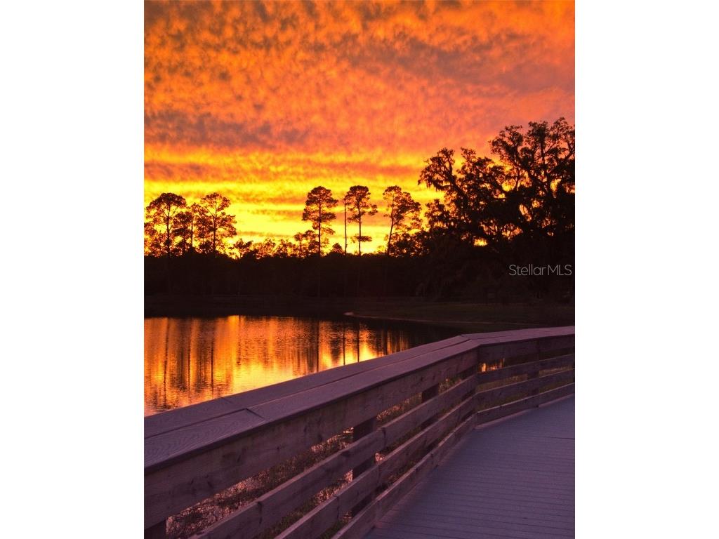 Castle Circle Alford FL 32420 A4649989 image3