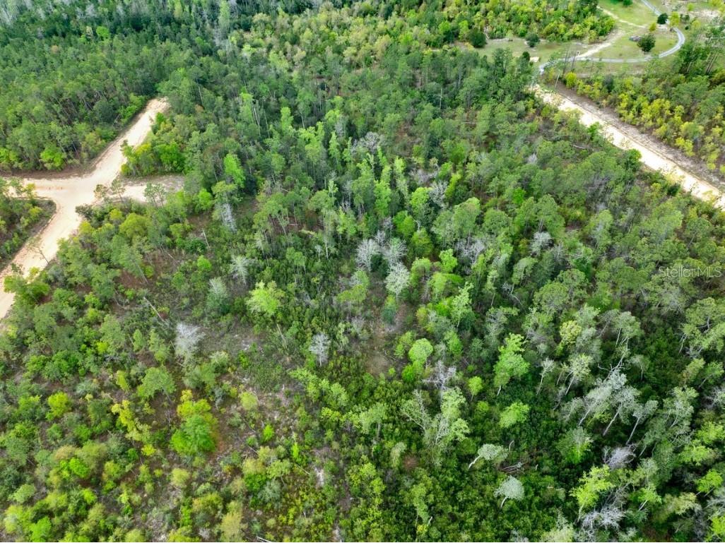 Castle Circle Alford FL 32420 A4649989 image6