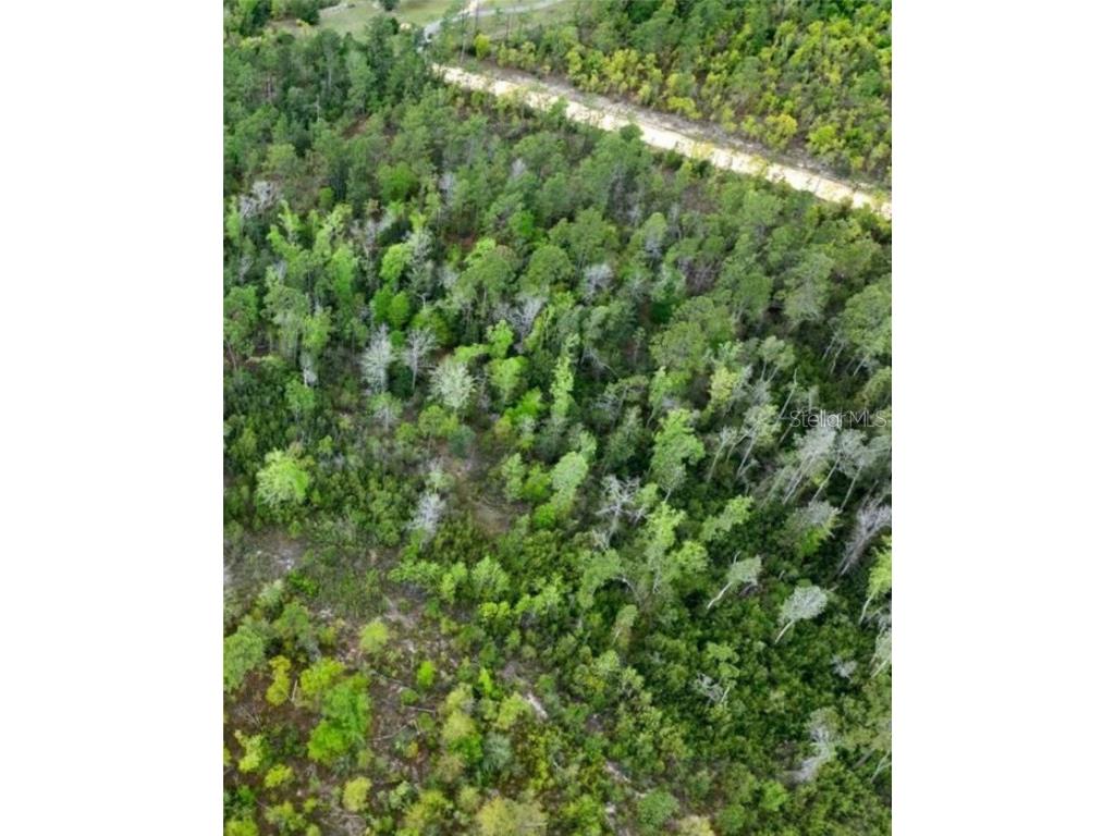 Castle Circle Alford FL 32420 A4649989 image7