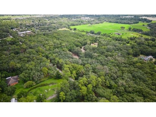 Castlewood Road Seffner FL 33584 T3450448 image1