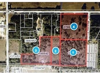 Catherine Street Leesburg FL 34748 J972828 image1