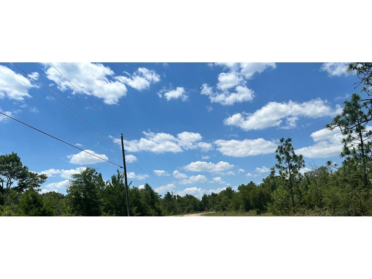 Cavalier Drive Chipley FL 32428 OM705954 image2