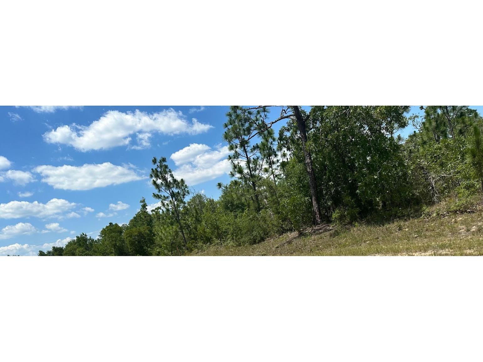 Cavalier Drive Chipley FL 32428 OM705954 image4